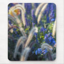 Search for aesthetics electronics Botanical