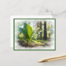 Search for suomi postcards Watercolor