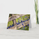 Search for country scene cards Fence