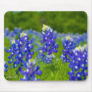 Search for bonnet mouse mats Texas