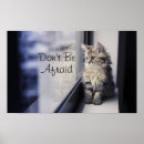 Search for persian blue posters Kitten