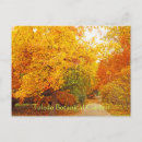 Search for garden path postcards Photography