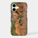 Search for kenya iphone cases Safari