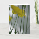 Search for shades cards Sun