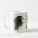 Search for golden eagles mugs Falcon