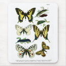 Search for europeans mouse mats Colourful