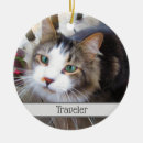 Search for special christmas tree decorations Kids