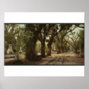 Search for bonaventure posters Georgia