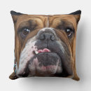Search for english bulldog cushions Animals