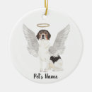 Search for beagle memorial Rainbow bridge