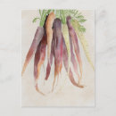 Search for carrot postcards Watercolor