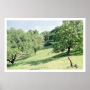 Search for hillside posters Green