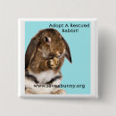 Search for adopt square badges Animal