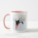 Search for young bird mugs Mute swan