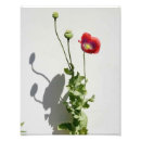 Search for opium art Beauty