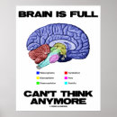 Search for brain anatomy posters Psychology