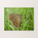 Search for ringlet Butterfly