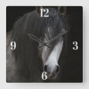 Search for thoroughbred art Arabian