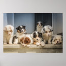 Search for cute puppy posters Quote