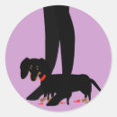 Search for doxy stickers Pets