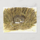 Search for field mouse postcards Wildlife