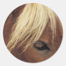 Search for manes stickers Horses
