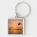 Search for bottlenose dolphin accessories Outdoors