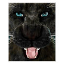 Search for black panther cat posters Feline