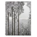 Search for evergreen notebooks Forest