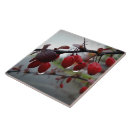 Search for drop tiles Red