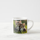 Search for good morning cat mugs Cats