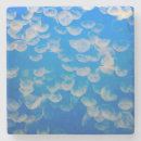 Search for tank coasters Aquarium