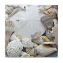 Search for sand dollar tiles Tropical