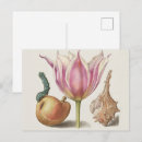 Search for tulip postcards Caterpillar