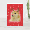 Search for doge cards Funny