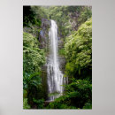 Search for kona art Island