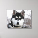 Search for siberian husky art Alaskan