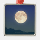 Search for full moon christmas tree decorations Photography