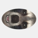 Search for animal face stickers Mammal