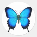 Search for ulysses stickers Blue