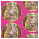 Search for funny cat fabric Humor