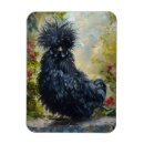 Search for silky magnets Silkie