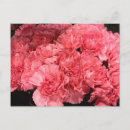 Search for postage stamps postcards Photography