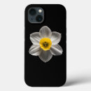 Search for white daffodil iphone cases Narcissus