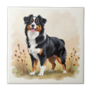 Search for black dog tiles Pets