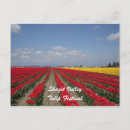 Search for flower festival postcards Skagit
