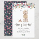 Search for cockapoo dog Birthday