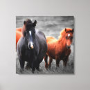 Search for horse pop art Stallion