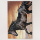 Search for black beauty puzzles Horse