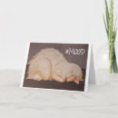 Search for mood cards Cat